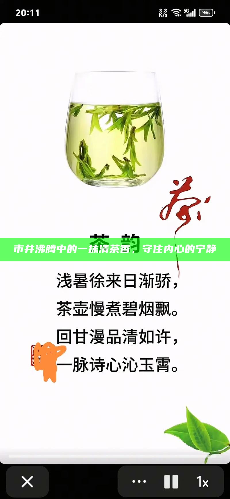 市井沸腾中的一抹清茶香，守住内心的宁静