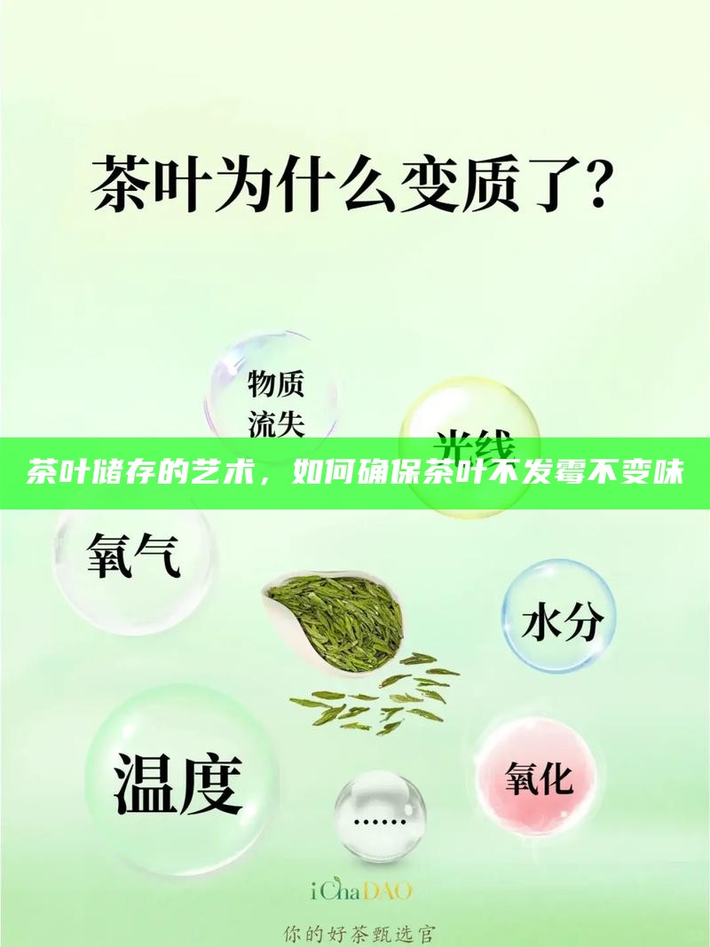 茶叶储存的艺术，如何确保茶叶不发霉不变味